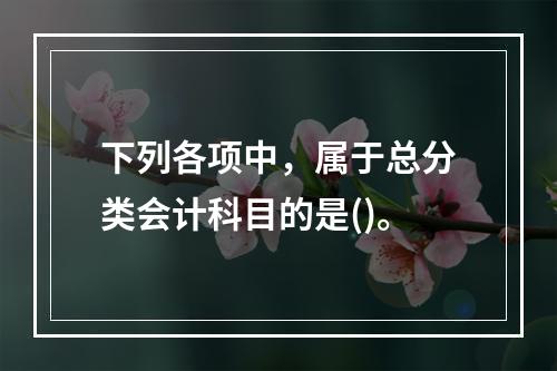 下列各项中，属于总分类会计科目的是()。