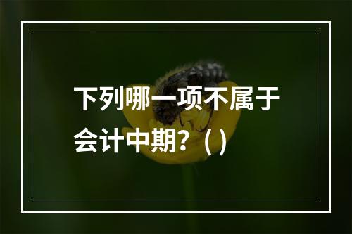 下列哪一项不属于会计中期？( )