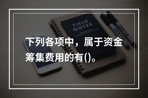 下列各项中，属于资金筹集费用的有()。