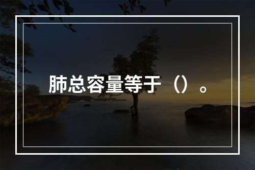 肺总容量等于（）。