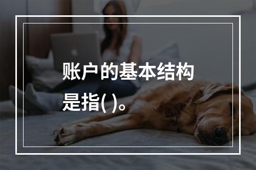 账户的基本结构是指( )。