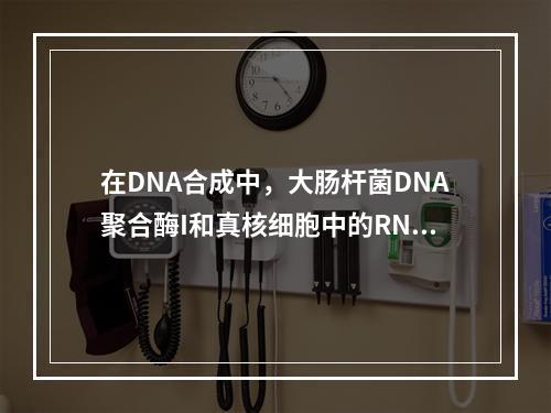 在DNA合成中，大肠杆菌DNA聚合酶I和真核细胞中的RNas