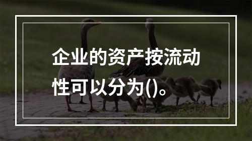 企业的资产按流动性可以分为()。