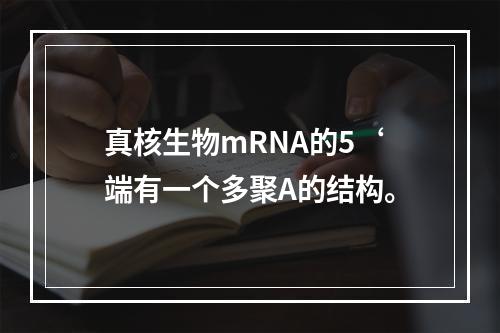 真核生物mRNA的5‘端有一个多聚A的结构。