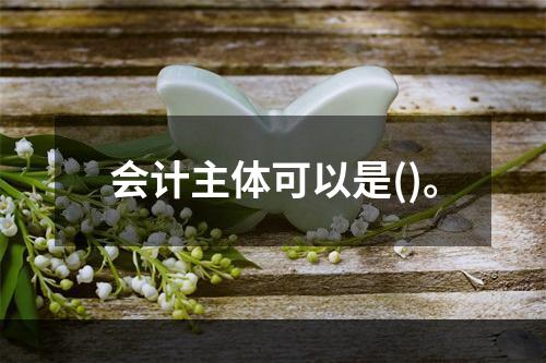 会计主体可以是()。