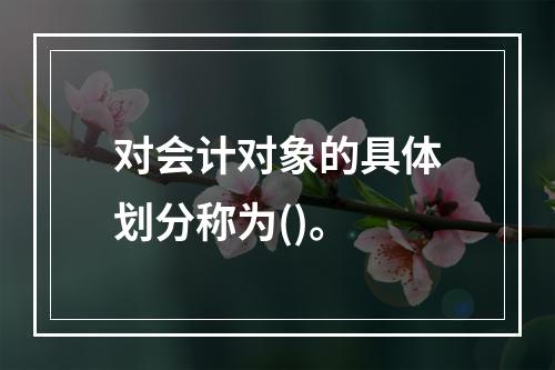 对会计对象的具体划分称为()。