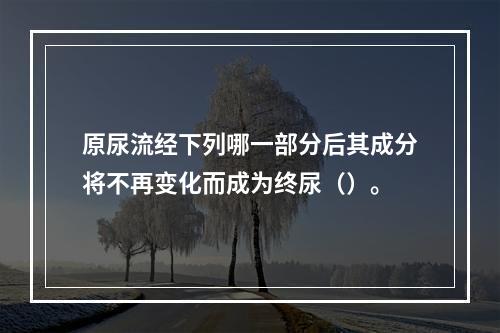 原尿流经下列哪一部分后其成分将不再变化而成为终尿（）。