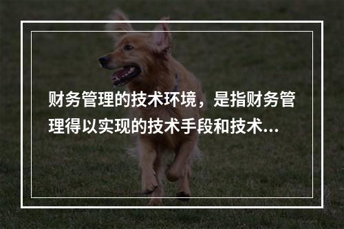 财务管理的技术环境，是指财务管理得以实现的技术手段和技术条件