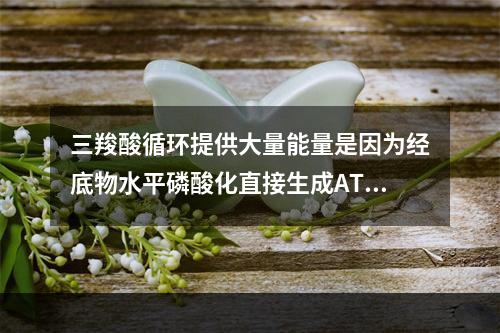 三羧酸循环提供大量能量是因为经底物水平磷酸化直接生成ATP。