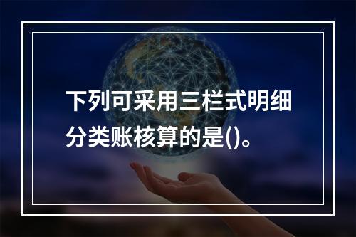 下列可采用三栏式明细分类账核算的是()。