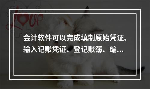 会计软件可以完成填制原始凭证、输入记账凭证、登记账簿、编制报