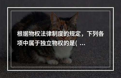 根据物权法律制度的规定，下列各项中属于独立物权的是(  )。