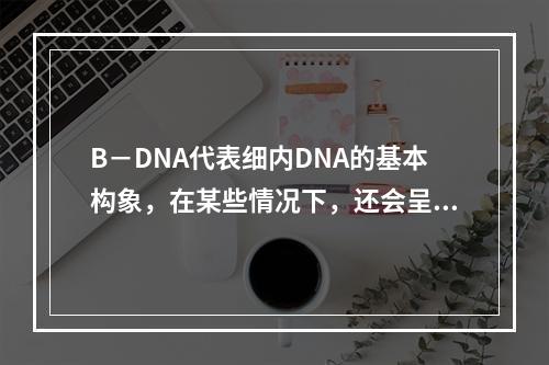 B－DNA代表细内DNA的基本构象，在某些情况下，还会呈现A