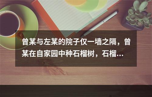 曾某与左某的院子仅一墙之隔，曾某在自家园中种石榴树，石榴树枝