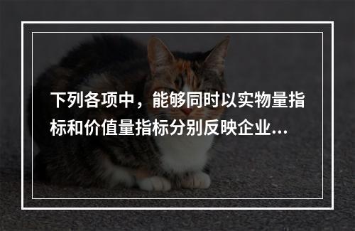 下列各项中，能够同时以实物量指标和价值量指标分别反映企业经营