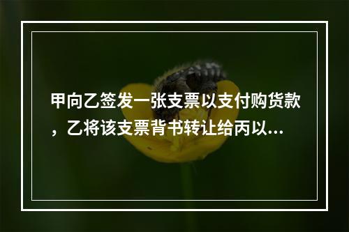 甲向乙签发一张支票以支付购货款，乙将该支票背书转让给丙以支付