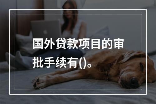 国外贷款项目的审批手续有()。