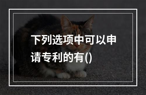 下列选项中可以申请专利的有()