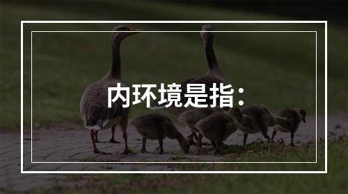 内环境是指：