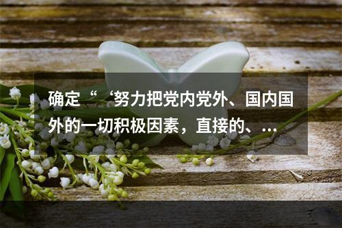 确定“‘努力把党内党外、国内国外的一切积极因素，直接的、间接