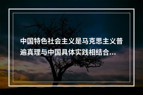 中国特色社会主义是马克思主义普遍真理与中国具体实践相结合的产