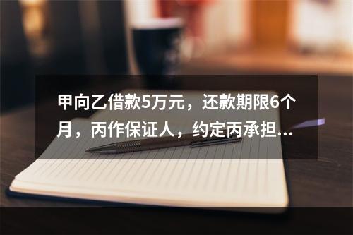 甲向乙借款5万元，还款期限6个月，丙作保证人，约定丙承担保证