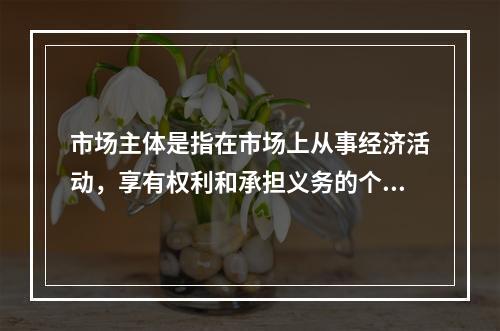 市场主体是指在市场上从事经济活动，享有权利和承担义务的个人和