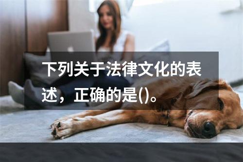 下列关于法律文化的表述，正确的是()。