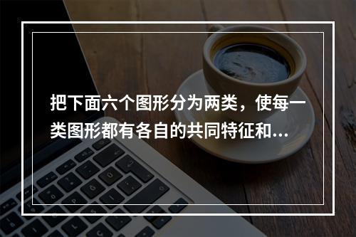 把下面六个图形分为两类，使每一类图形都有各自的共同特征和规律