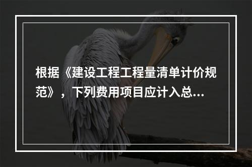 根据《建设工程工程量清单计价规范》，下列费用项目应计入总承包