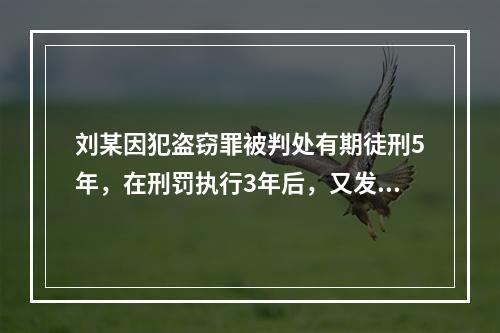 刘某因犯盗窃罪被判处有期徒刑5年，在刑罚执行3年后，又发现判