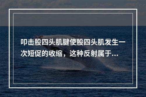 叩击股四头肌腱使股四头肌发生一次短促的收缩，这种反射属于多突