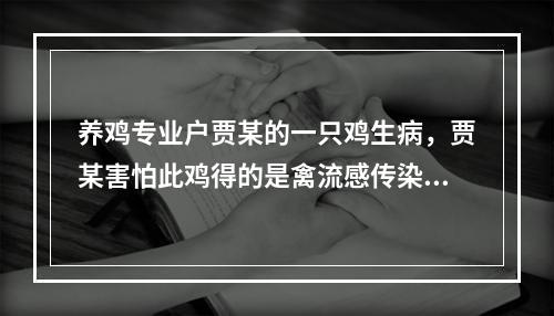 养鸡专业户贾某的一只鸡生病，贾某害怕此鸡得的是禽流感传染了其