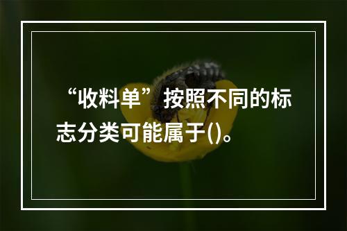 “收料单”按照不同的标志分类可能属于()。