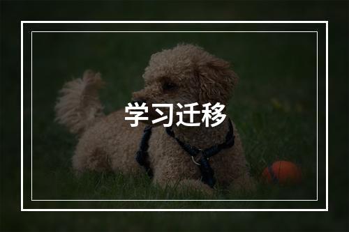 学习迁移