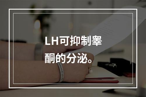 LH可抑制睾酮的分泌。