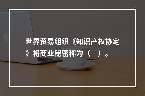 世界贸易组织《知识产权协定》将商业秘密称为（　）。