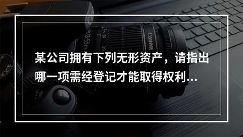 某公司拥有下列无形资产，请指出哪一项需经登记才能取得权利？（