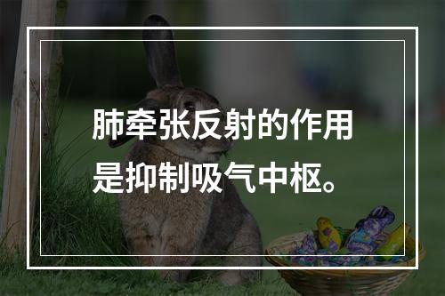 肺牵张反射的作用是抑制吸气中枢。