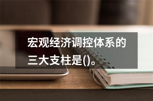 宏观经济调控体系的三大支柱是()。