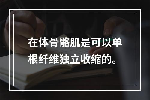 在体骨骼肌是可以单根纤维独立收缩的。