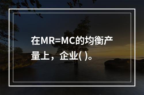 在MR=MC的均衡产量上，企业( )。