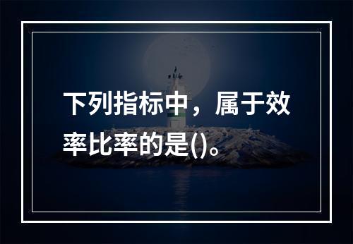 下列指标中，属于效率比率的是()。