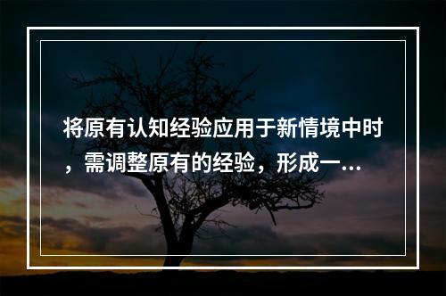 将原有认知经验应用于新情境中时，需调整原有的经验，形成一种更