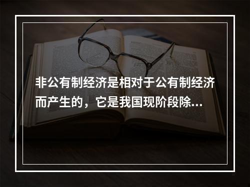 非公有制经济是相对于公有制经济而产生的，它是我国现阶段除了公