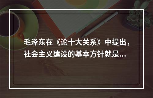 毛泽东在《论十大关系》中提出，社会主义建设的基本方针就是“统