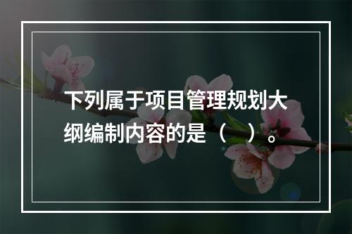 下列属于项目管理规划大纲编制内容的是（　）。