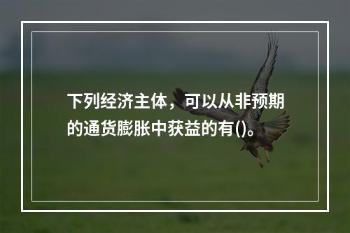 下列经济主体，可以从非预期的通货膨胀中获益的有()。