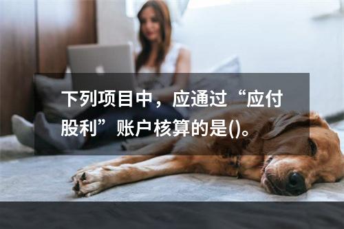 下列项目中，应通过“应付股利”账户核算的是()。