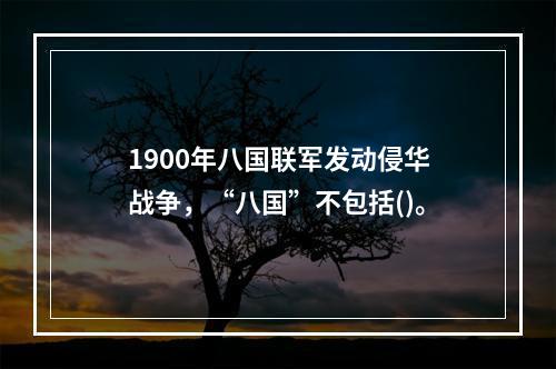 1900年八国联军发动侵华战争，“八国”不包括()。